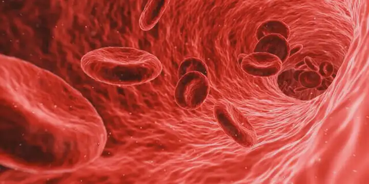 Agranulocitose: tipos, causas e sintomas