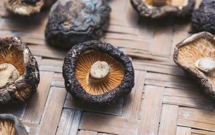 Alergia aos cogumelos Shiitake