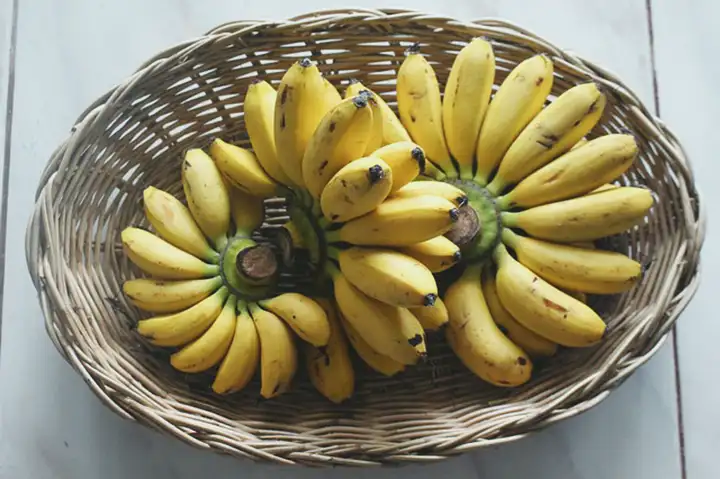 Alergia a Banana | Reações Látex, Sintomas e Tratamentos
