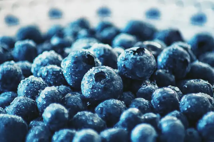 Alergia de Mirtilo | Sintomas , Sensibilidade e Teste de Alergia a Blueberries