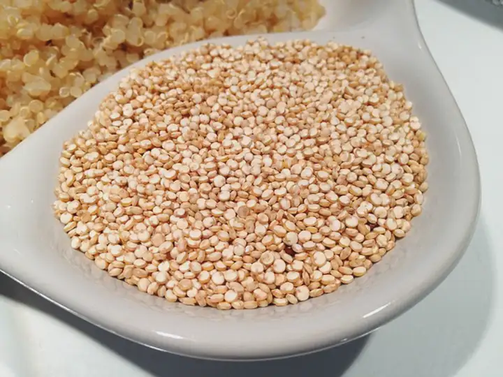 Alergia Quinoa | Sintomas, Alternativas e Sensibilidade