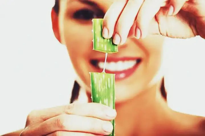 Aloe Vera - Benefícios, Tratamentos e Contraindicações