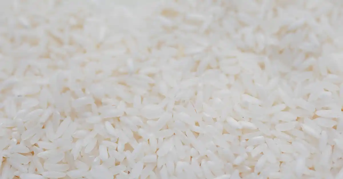 Arroz: Faz Bem ou Mal para Saúde