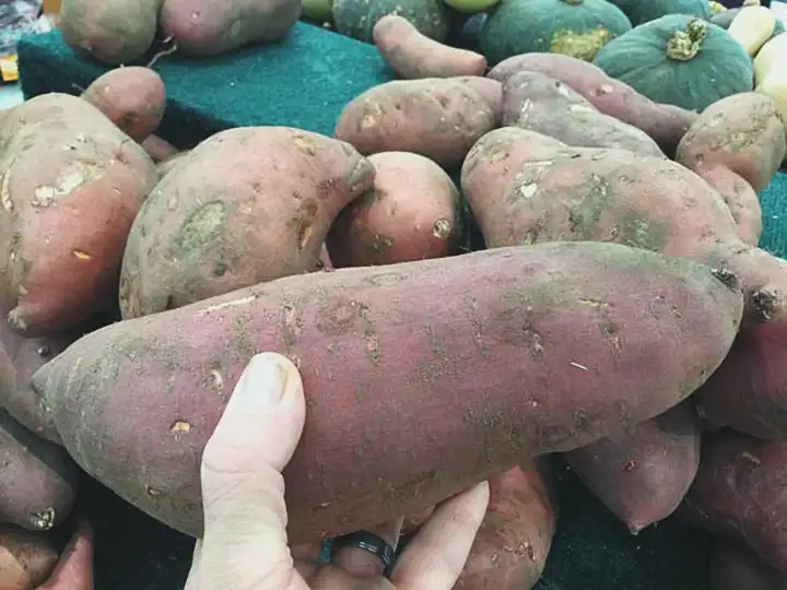 As batatas doces podem ajudar a reduzir o colesterol?