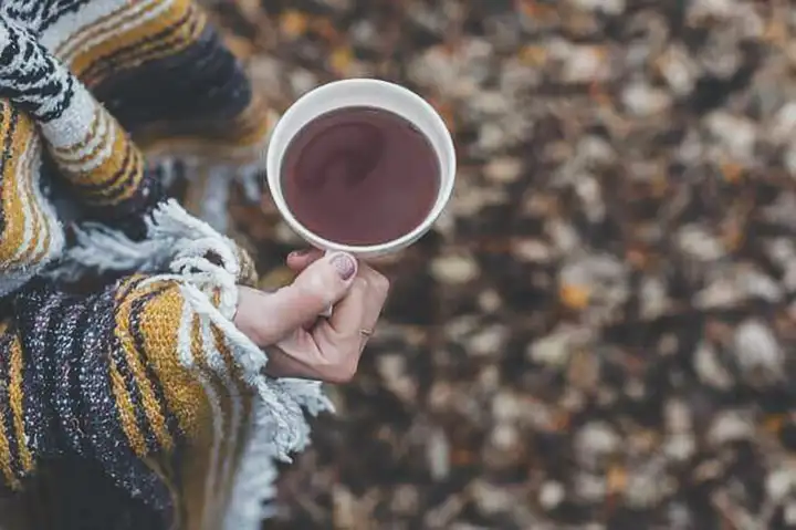 Benefícios do chá oolong para a saúde
