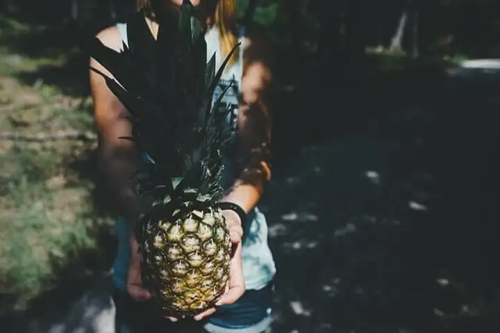 Benefícios em Comer Abacaxi