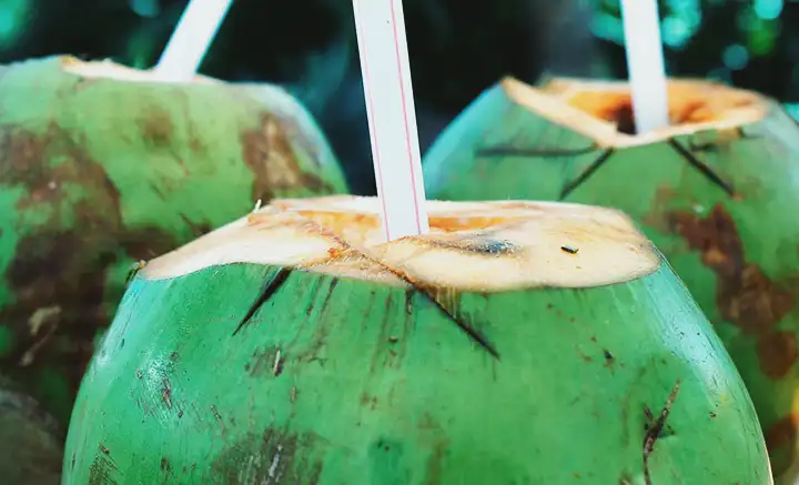 7 Benefícios da Água de Coco para Saúde