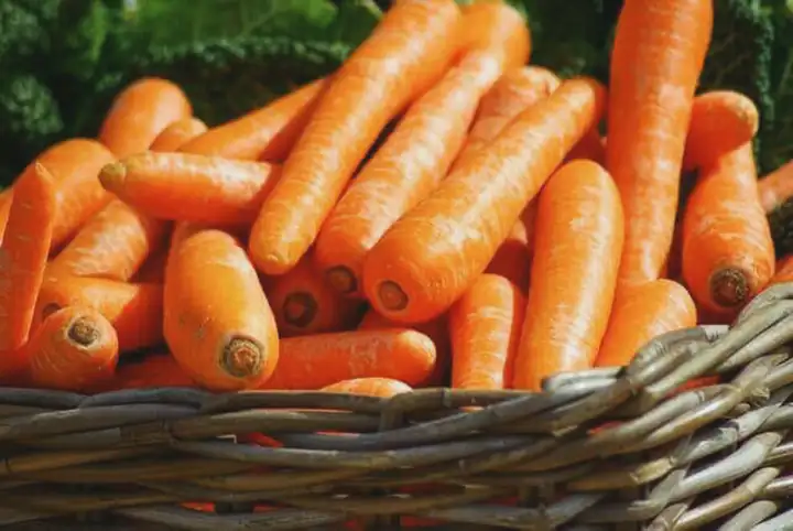 Quais são os Benefícios da Cenoura?