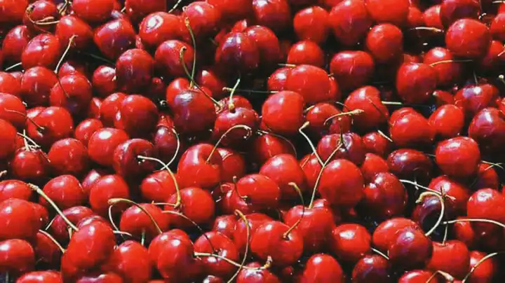 Benefícios de comer cerejas para a saúde 