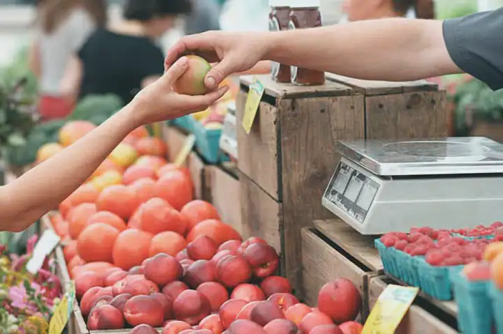 Benefícios de comer frutas de estômago vazio