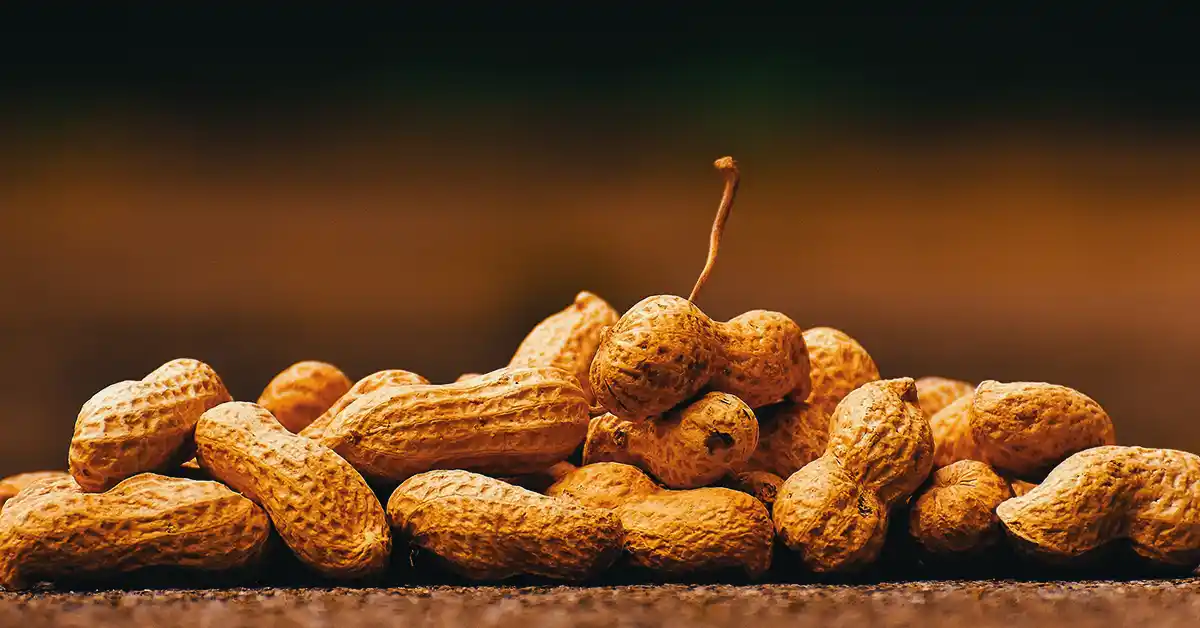 Benefícios do Amendoim para a Saúde