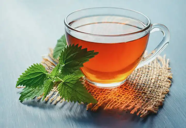 Os benefícios do anamu | Um remédio herbal com múltiplos usos