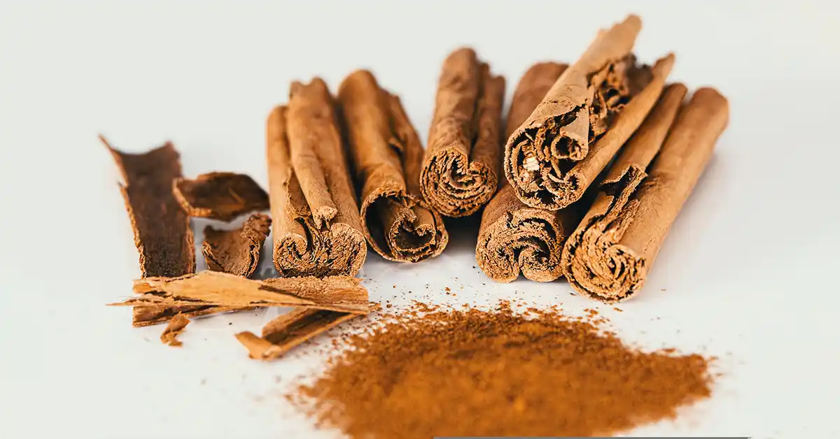 Canela para que serve: usos medicinais, culinários e cosméticos