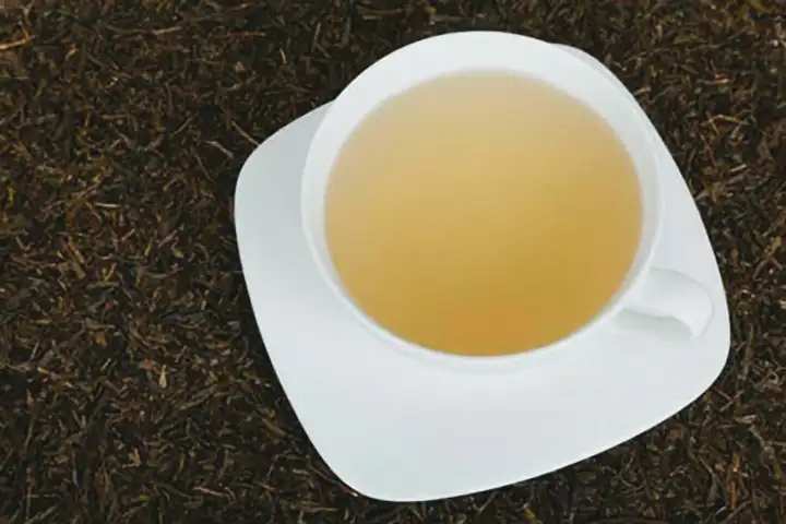 Chá verde é considerado uma das bebidas mais saudáveis do mundo