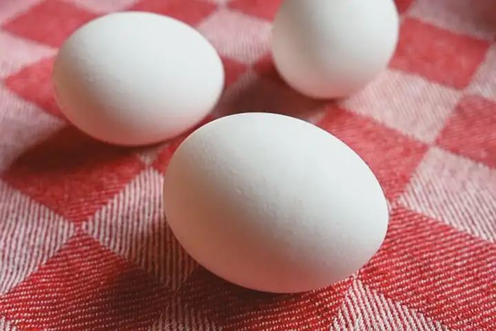 5 Mitos E Fatos Sobre O Colesterol - Os Ovos São Maus?