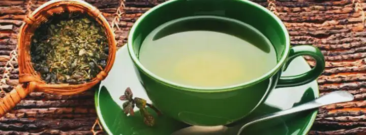 Como o chá verde pode ajudar a perder peso naturalmente