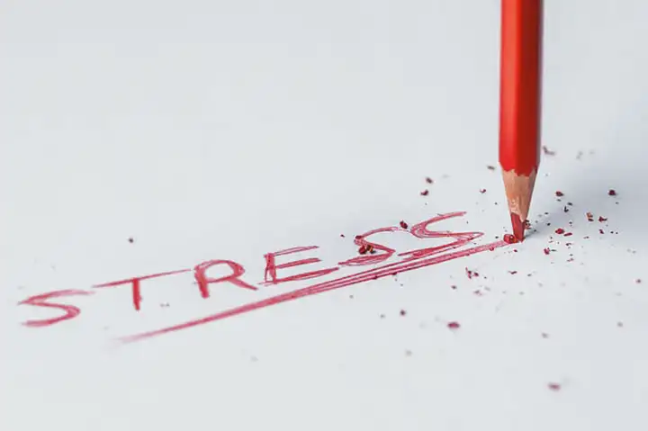 Como o estresse afeta o cérebro