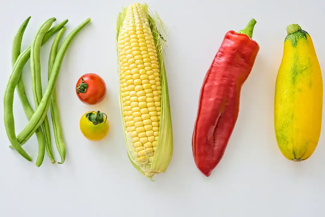 Cozinhar com Alimentos Orgânicos: Guia Completo