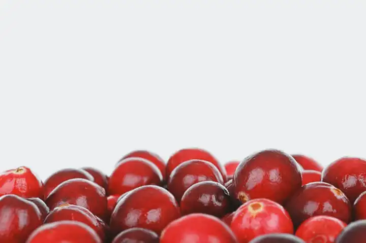 Suco de Cranberry para Dor na Uretra ao Urinar (Infeção Urinária)