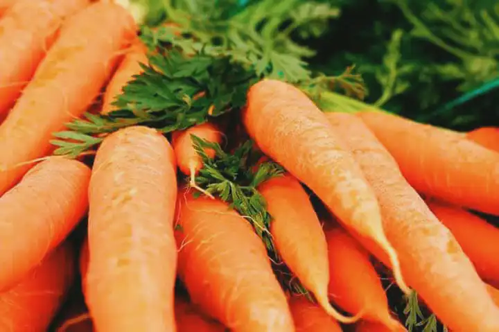 10 razões para comer mais cenouras