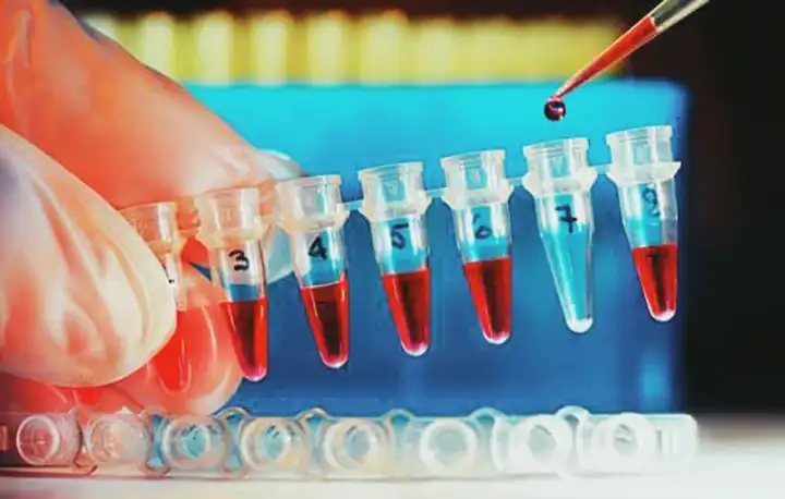 Diferença entre Trombofilia e Trombose