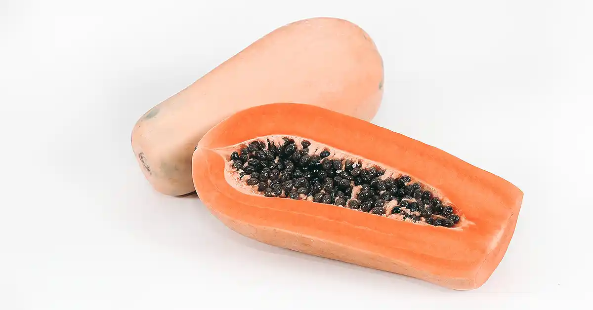 Dor no estômago depois de comer mamão Dor no estômago depois de comer mamão