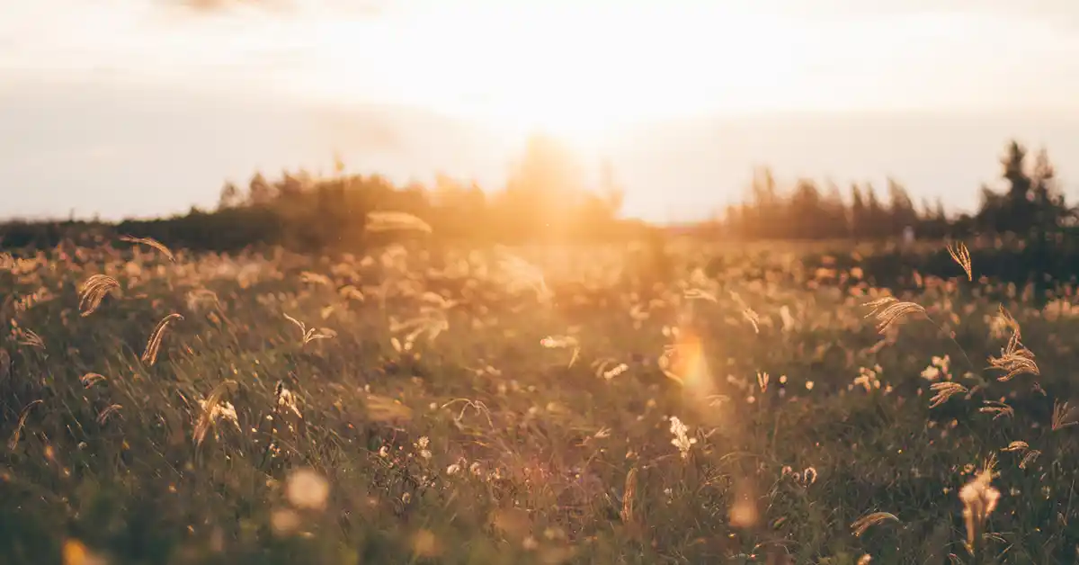 Fengofobia: Medo da Luz do Dia ou Nascer do Sol