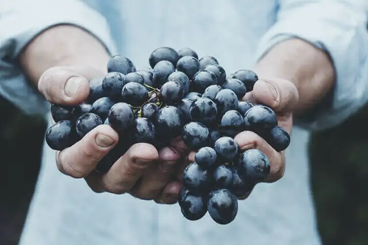 Frutas para ajudar dormir