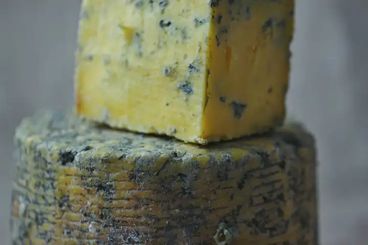 Fungo do queijo pode causar alergia
