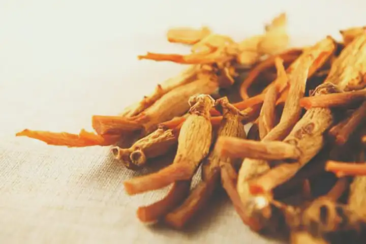 Ginseng - Faz Bem ou Faz Mal para sua Saúde?