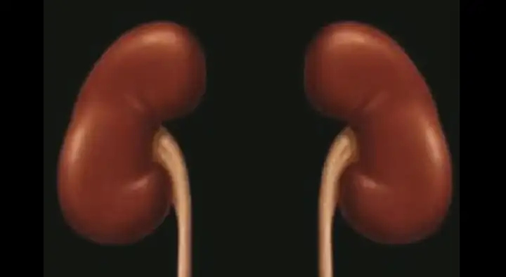 Insuficiência Renal Aguda - Lesão Renal Aguda