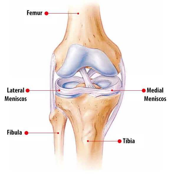Lesão no Menisco pode causar dor na parte de trás do joelho