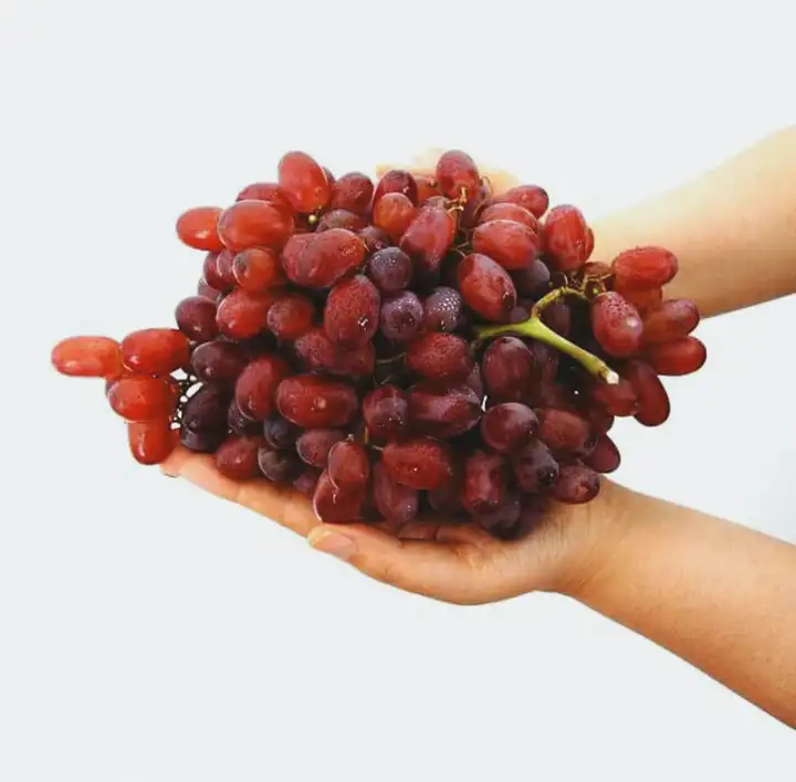 O que as uvas fazem com seu corpo?