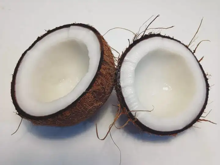 Óleo de Coco é bom para Saúde?