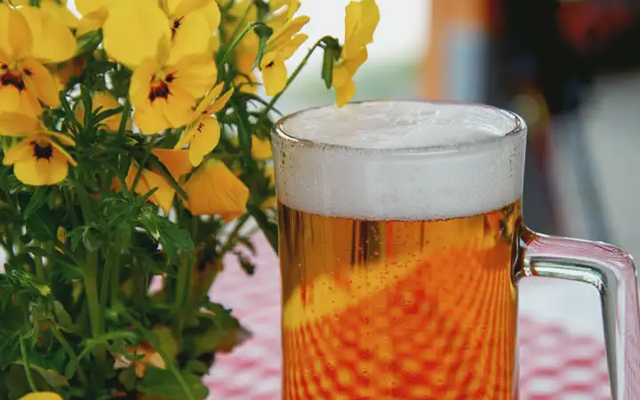 Os benefícios da cerveja para a saúde