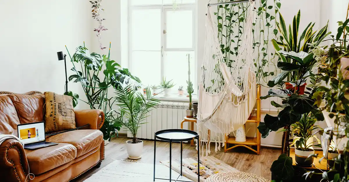 Plantas em Casa: Melhore seu Bem-estar e Decoração