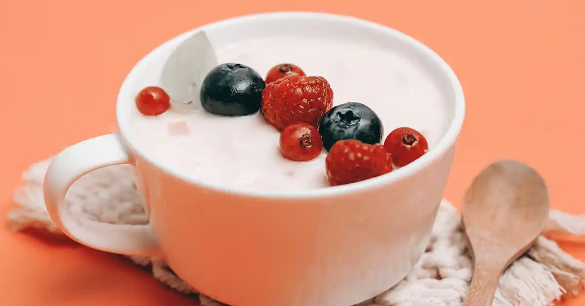 Qual o melhor iogurte da Danone para incluir na sua dieta?