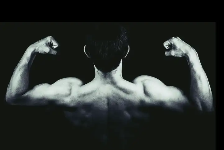 4 Efeitos de Whey Protein na força e massa muscular