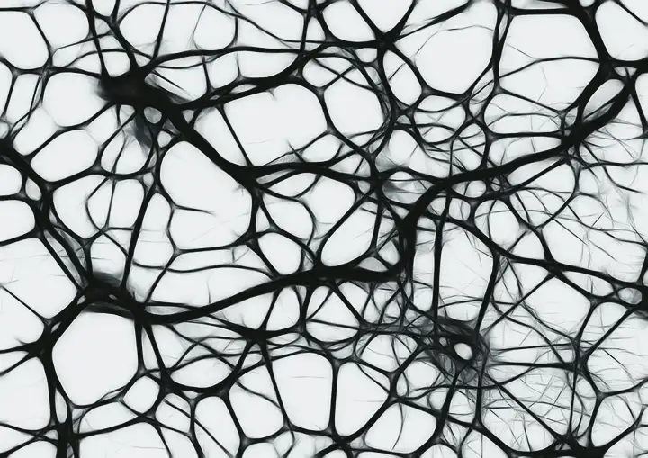 Síndrome cerebral orgânica | Causas, Sintomas e Tratamento