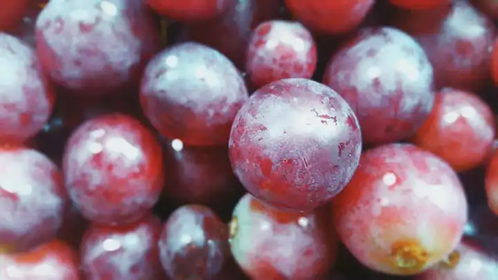 Suco de uva oferece os mesmos benefícios do vinho ao coração