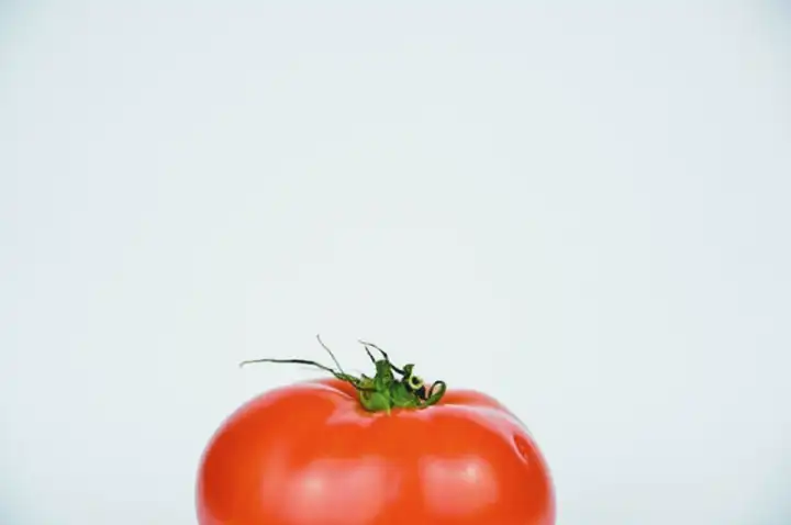 Tomates Podem Aumentar o Açúcar no Sangue 