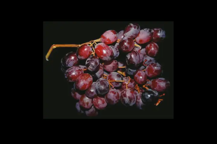 As uvas ajudam o seu sistema digestivo?