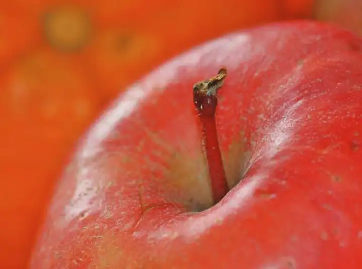 Vinagre de maçã pode realmente ajudar com perda de peso