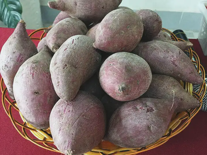 Você pode comer batatas doces se você tiver triglicerídeos altos?